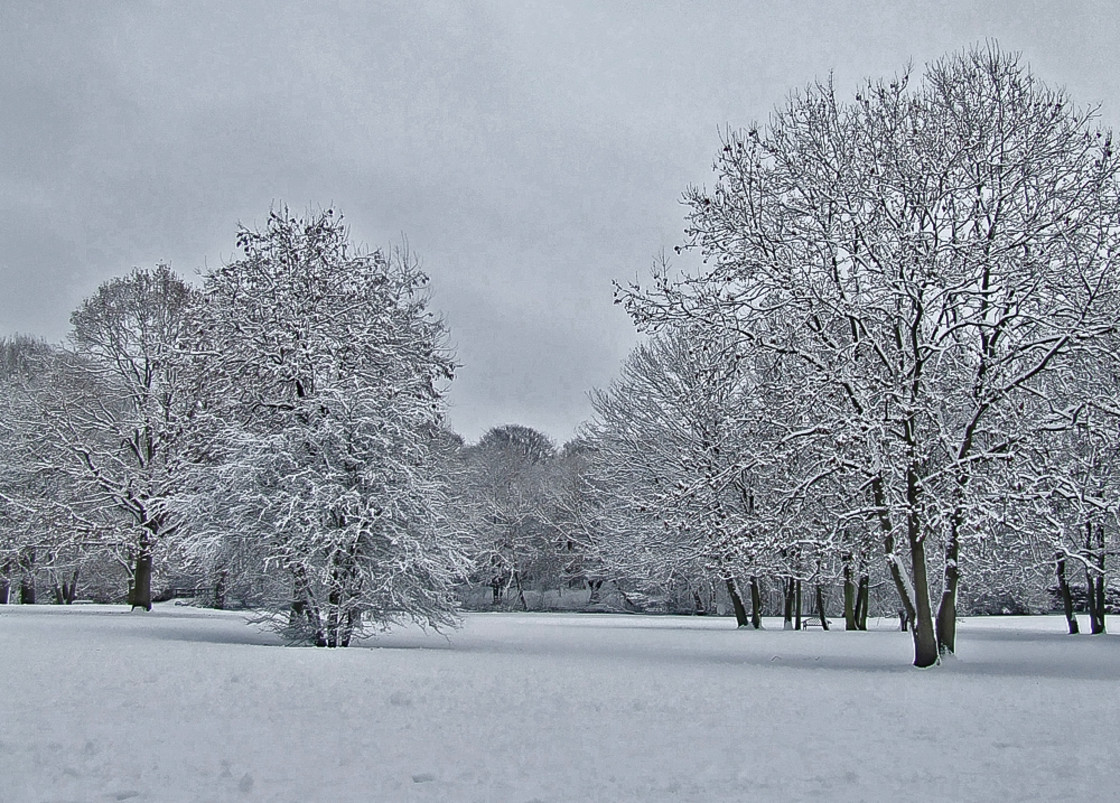 "Sankey Valley Park after a snowstorm" stock image