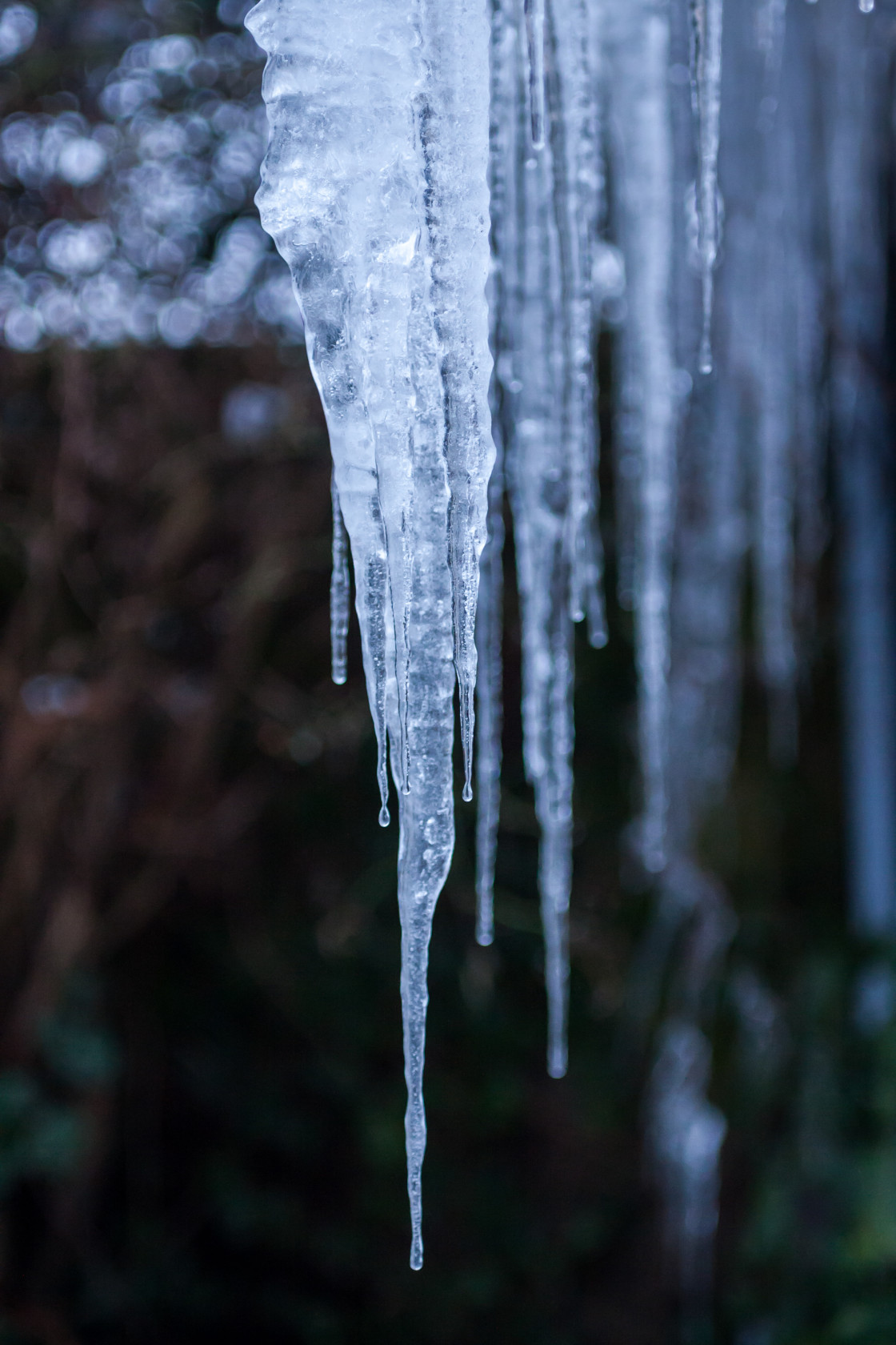 "Icicles" stock image