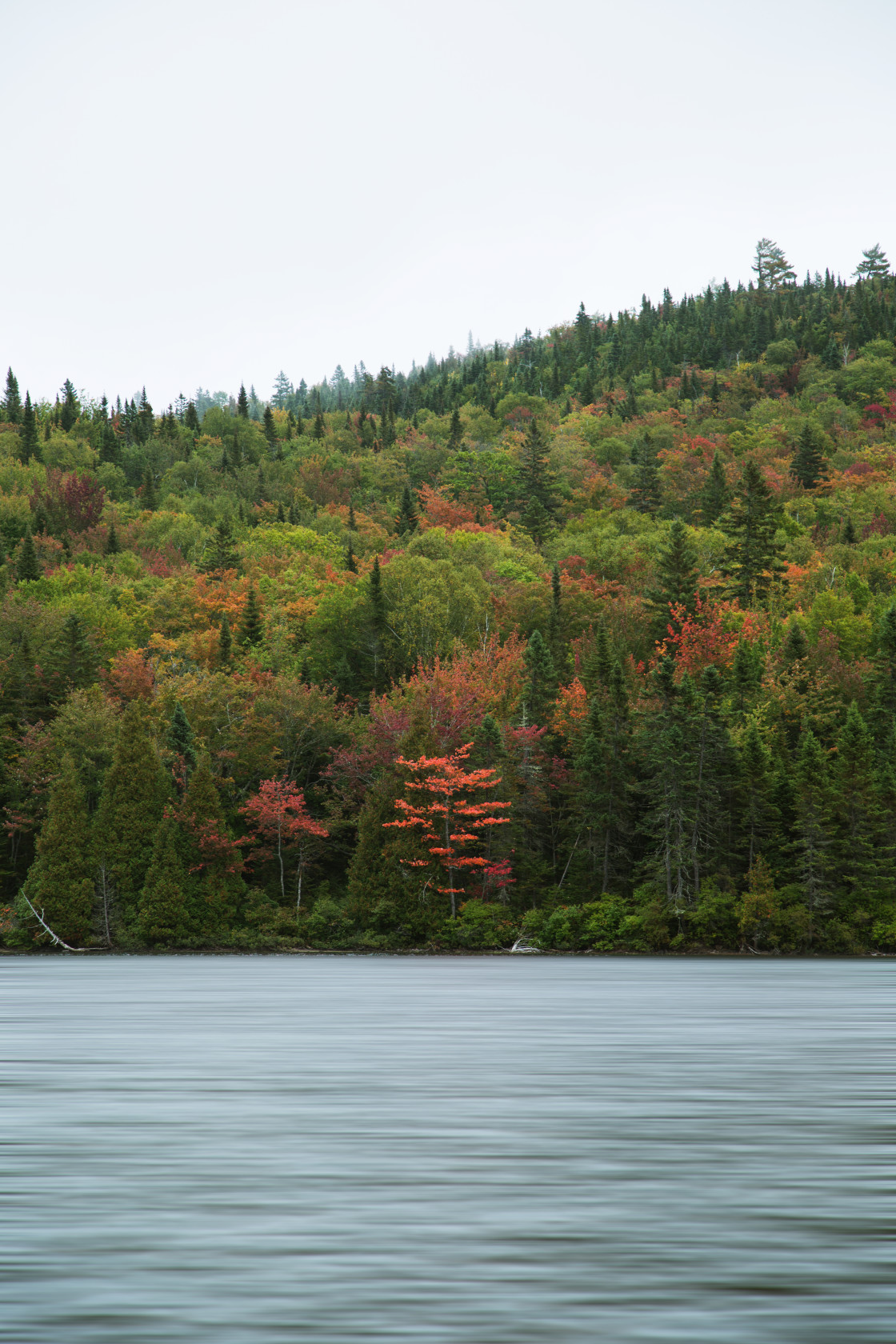 "Canadian lake" stock image