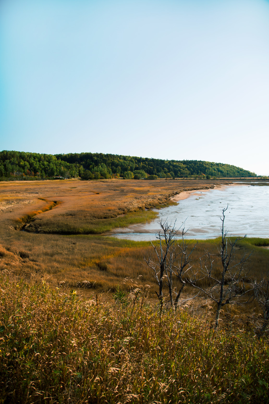 "Canadian coast" stock image