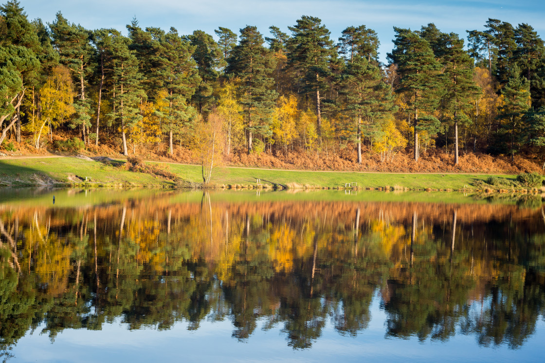 "Autumn Reflections" by Gordon England - $12.55 "Autumn Reflections" stock image