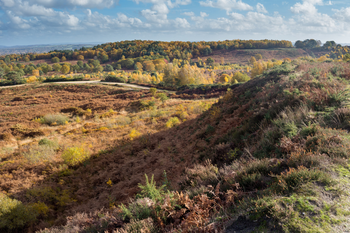 "Autumnal Caesar's Camp" by Gordon England - $12.24 "Autumnal Caesar's Camp" stock image