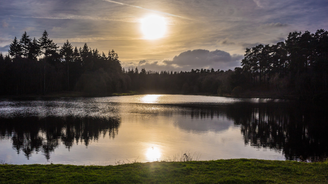 "Winter Sunshine" stock image