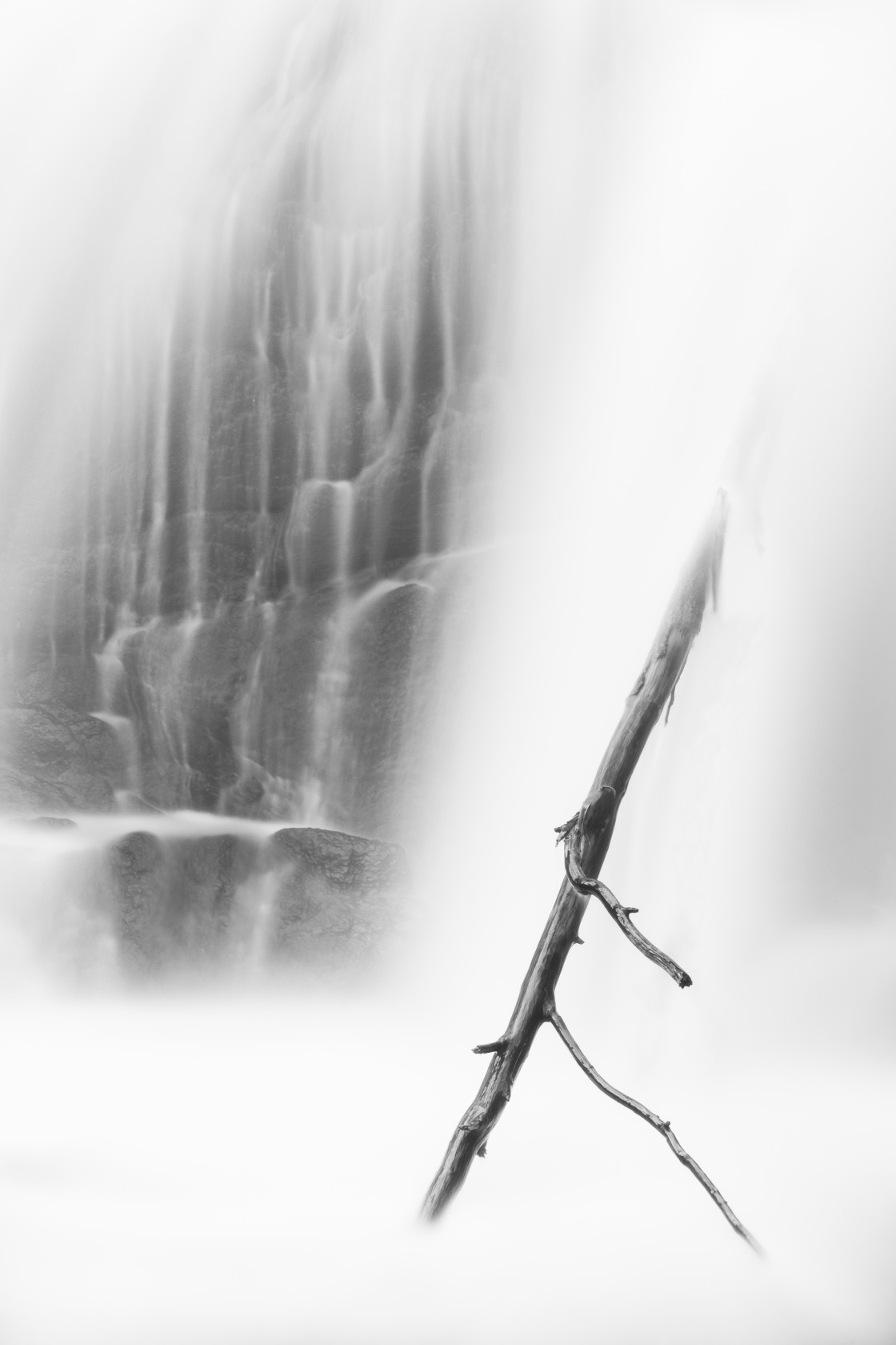 "Waterfall and branch" stock image