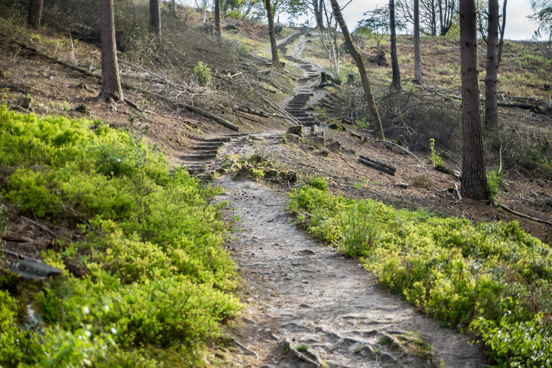 "Devil's Punch Bowl Exit" stock image