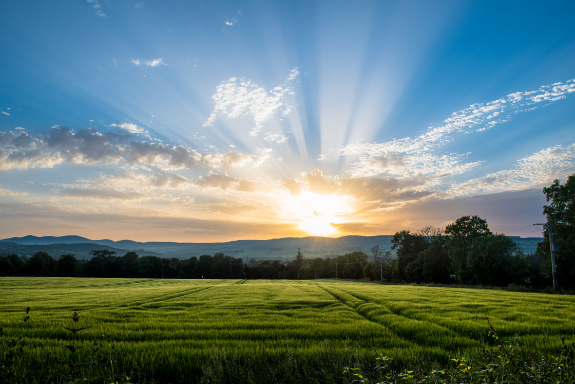 "Sunset" stock image