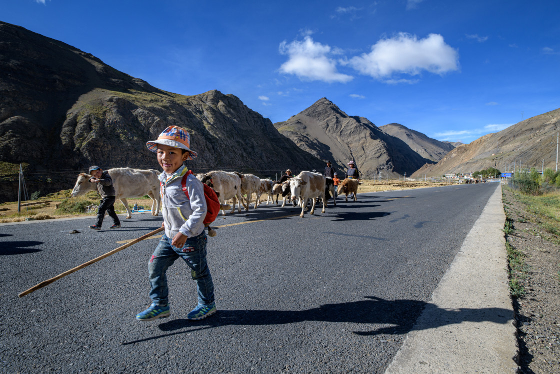 "The School run" stock image