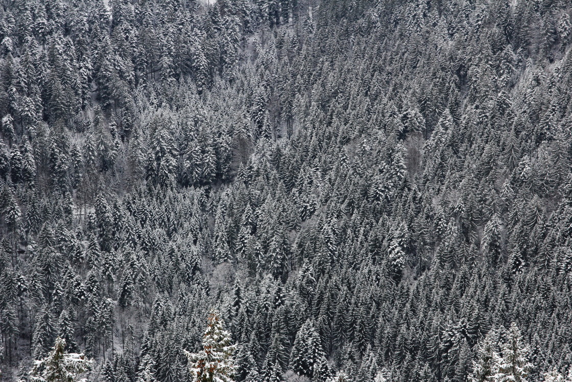 "From above" stock image