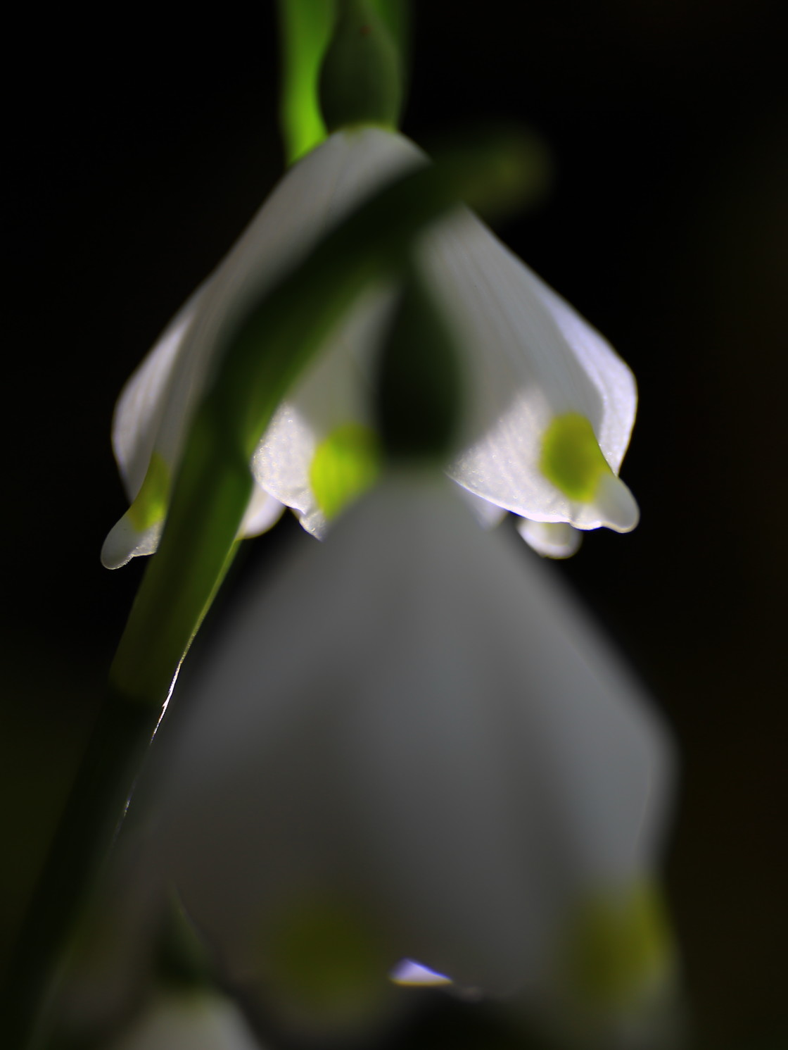 "Spring" stock image