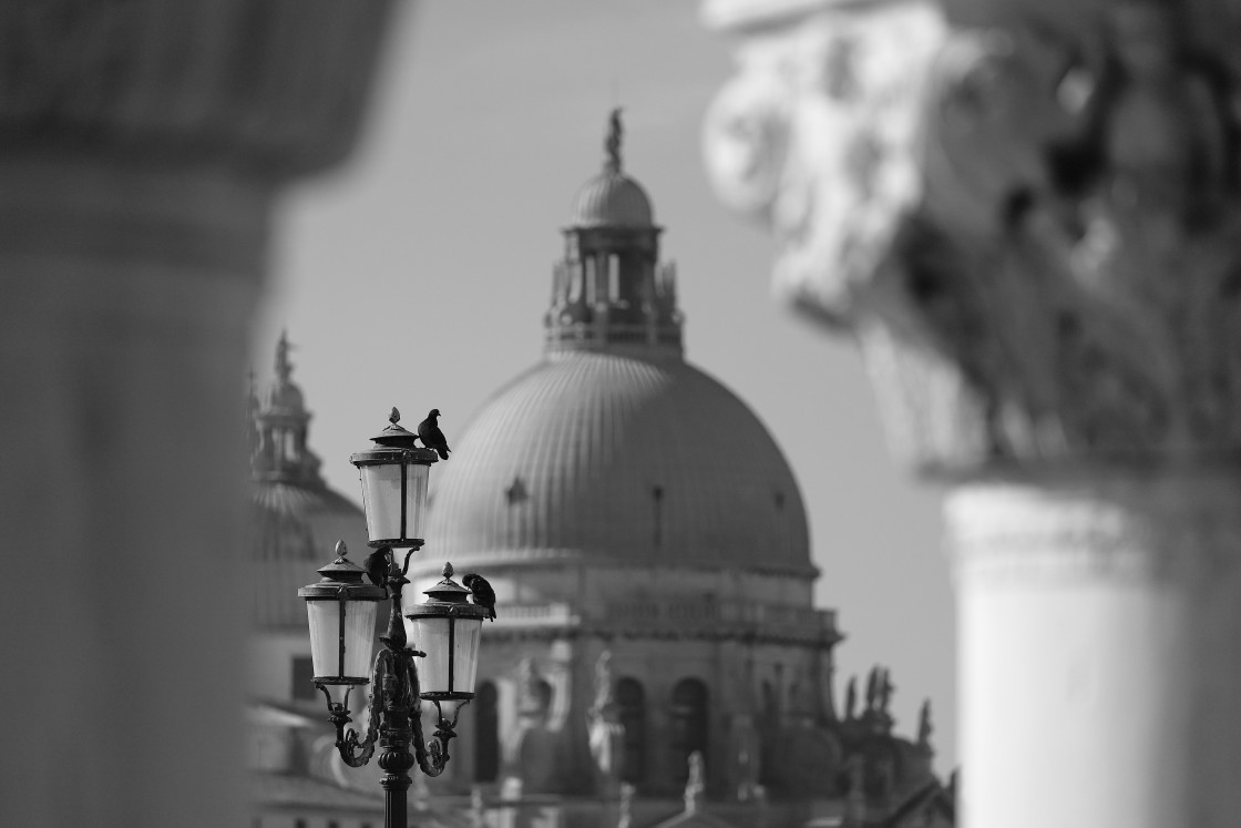 "Venice" stock image