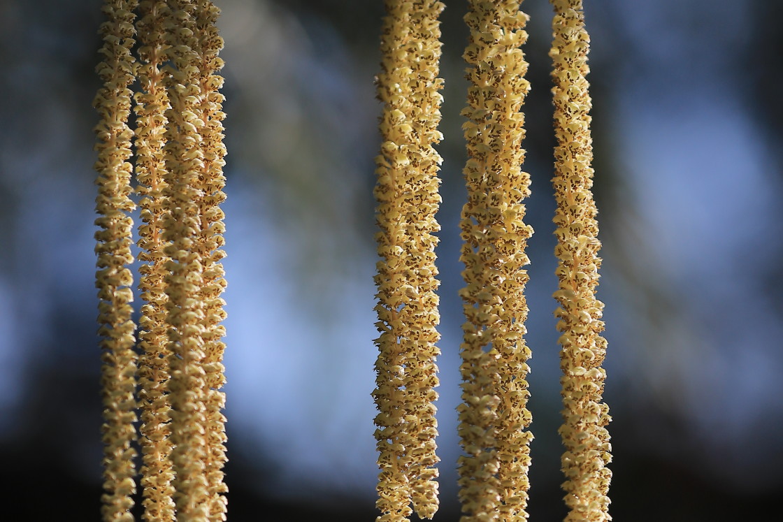 "Spring lines" stock image