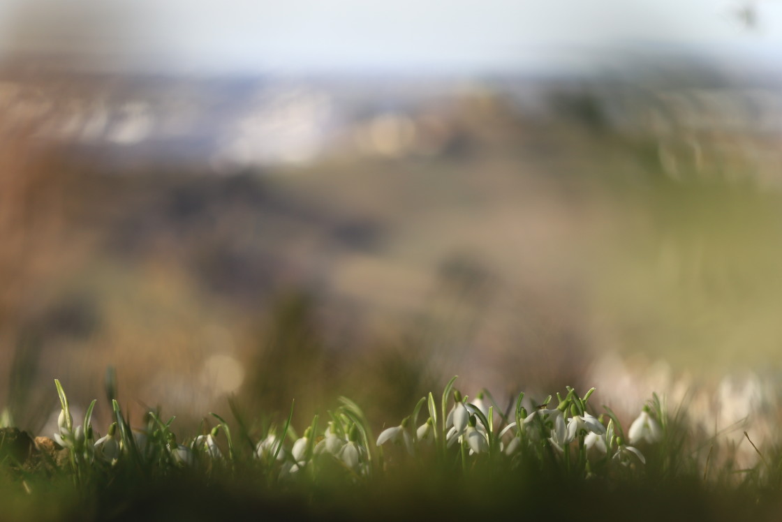 "The awakening" stock image