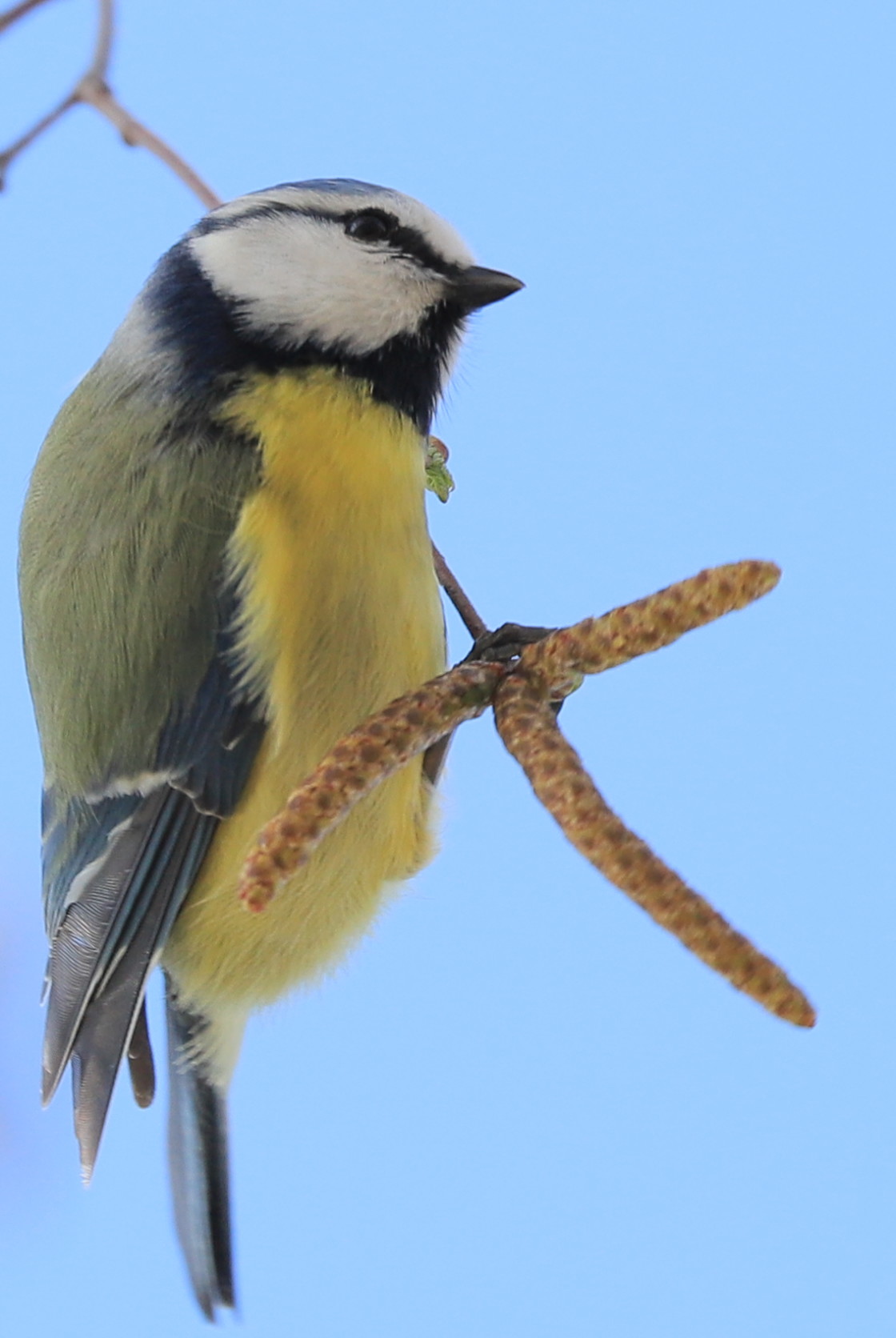 "Hanging around" stock image