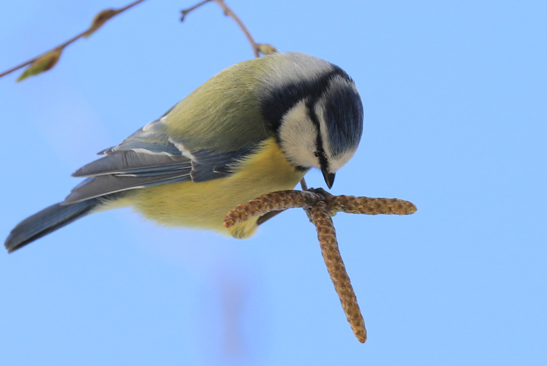 "Hanging around" stock image