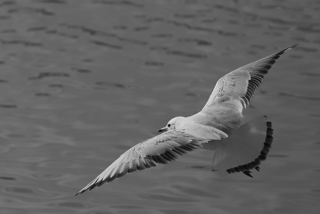 "Fly through" stock image