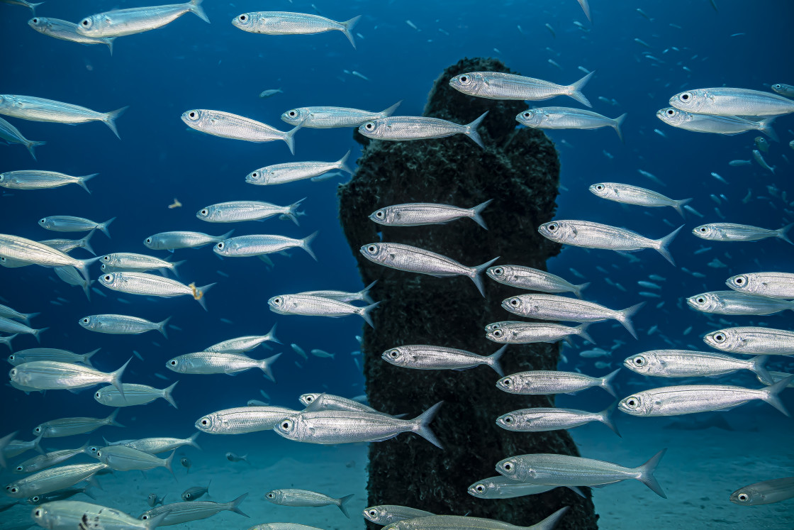 "Lanzarote 01" stock image