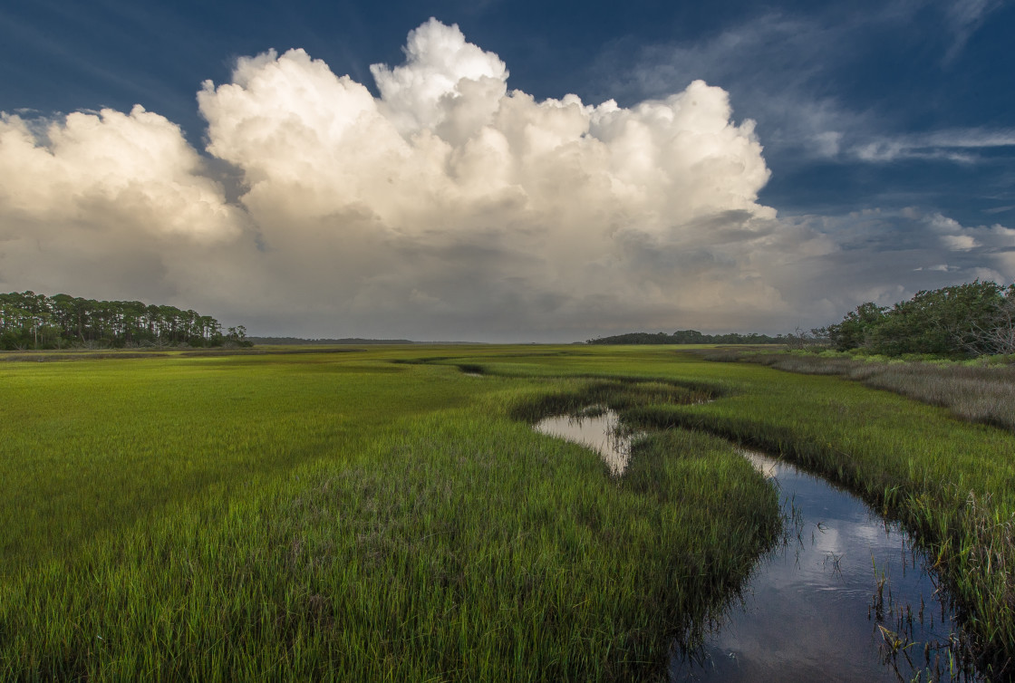 "Florida marsh with clouds" stock image