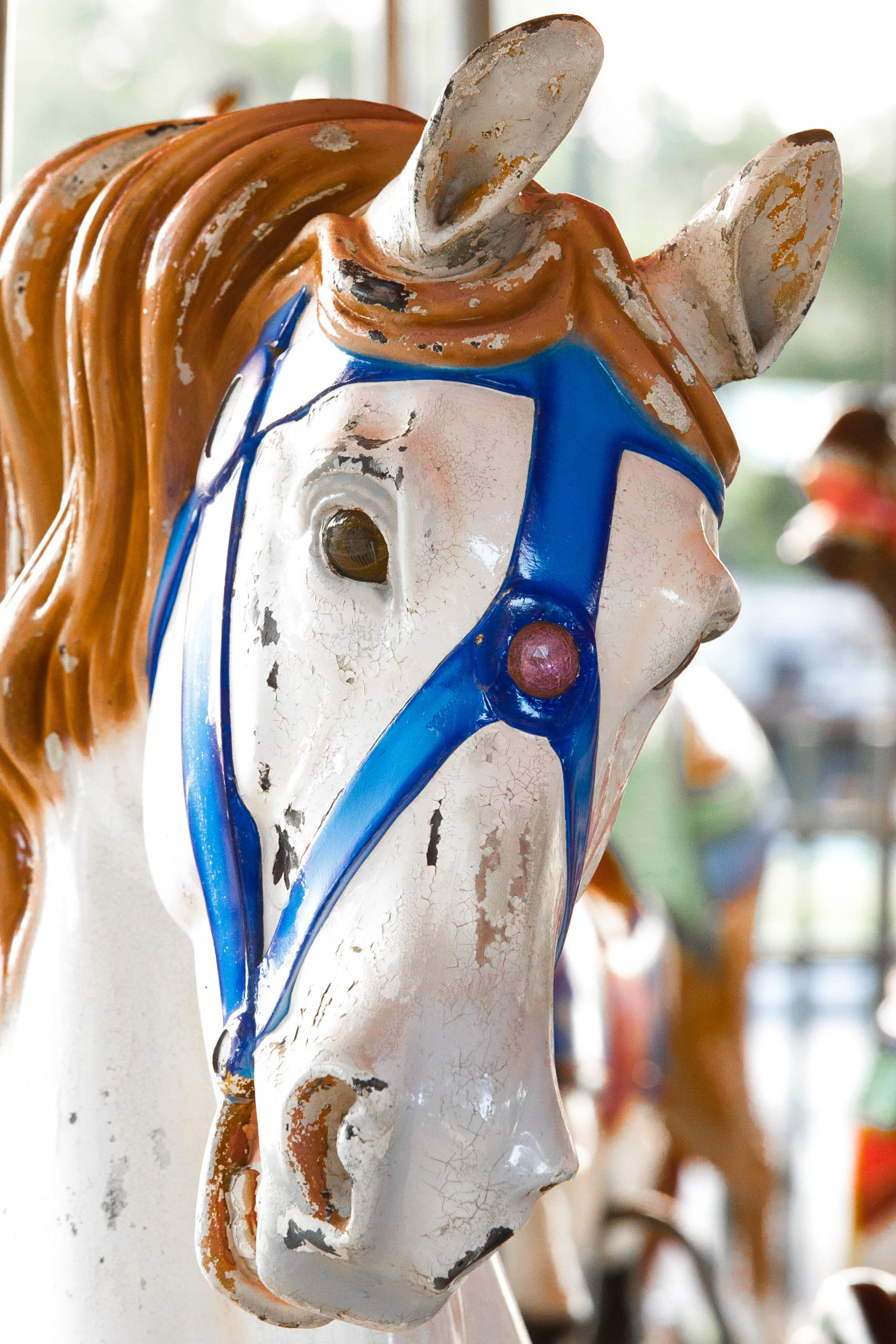 "Carousel" stock image