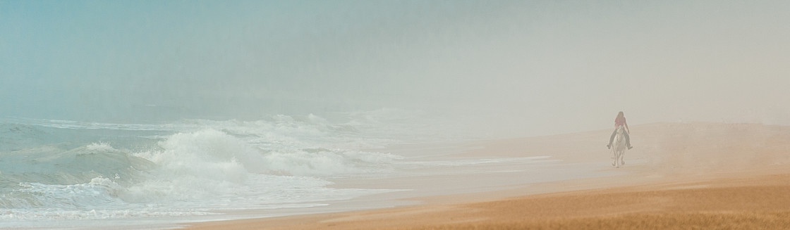 "Horse and rider by the beach" stock image