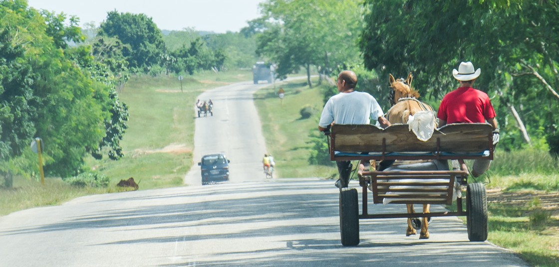 "Rural Cuban road with horse drawn cart" stock image