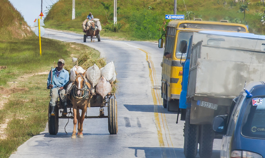 "Rural Cuban road with horse drawn cart" stock image