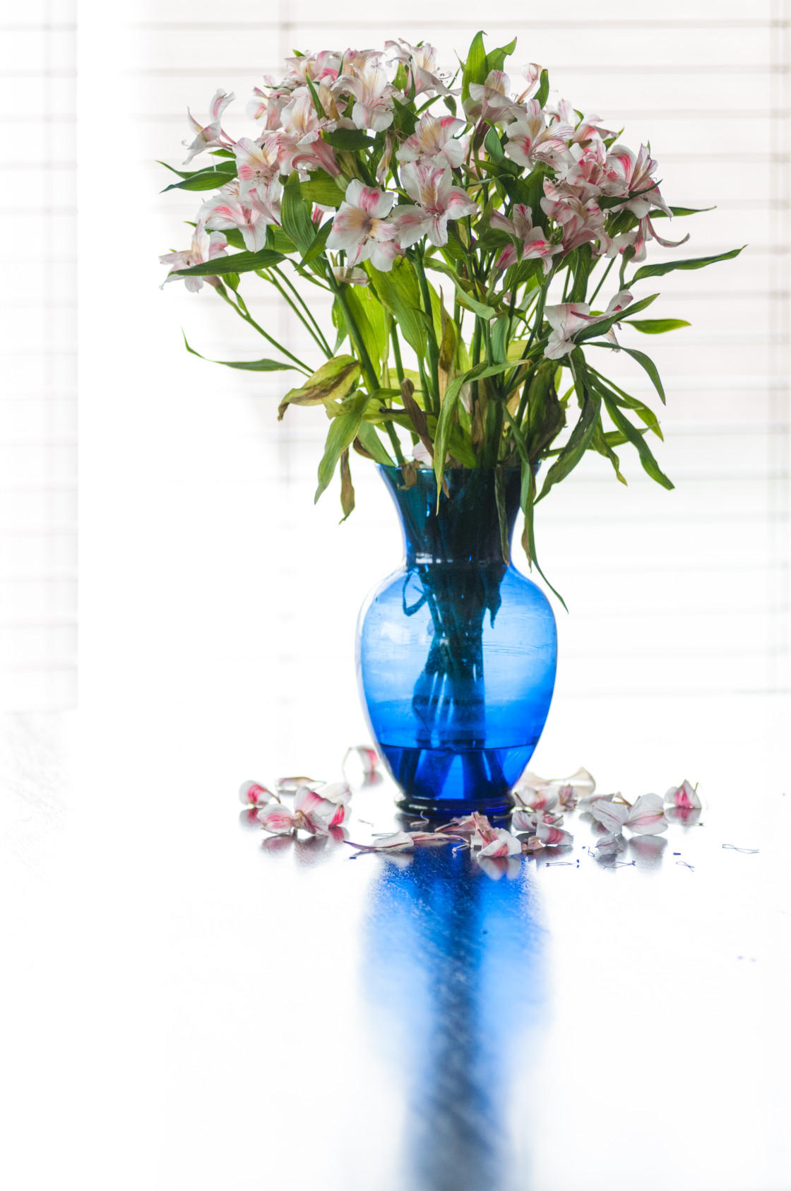 "Blue Vase with white and pink flowers" stock image