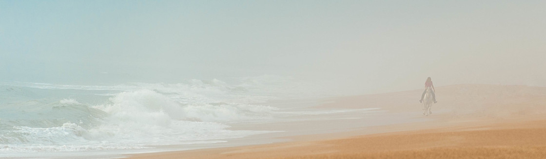 "Horse and rider by the beach" stock image