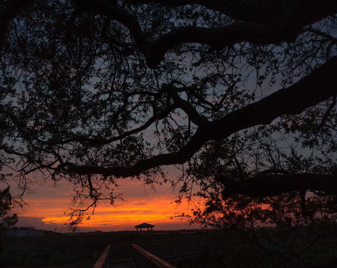 "Silhouette of pagoda at sunset," stock image