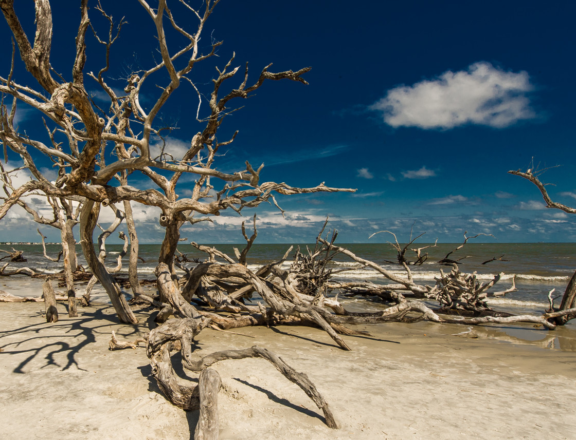 "South Georgia Beach, Jekyll Island" stock image