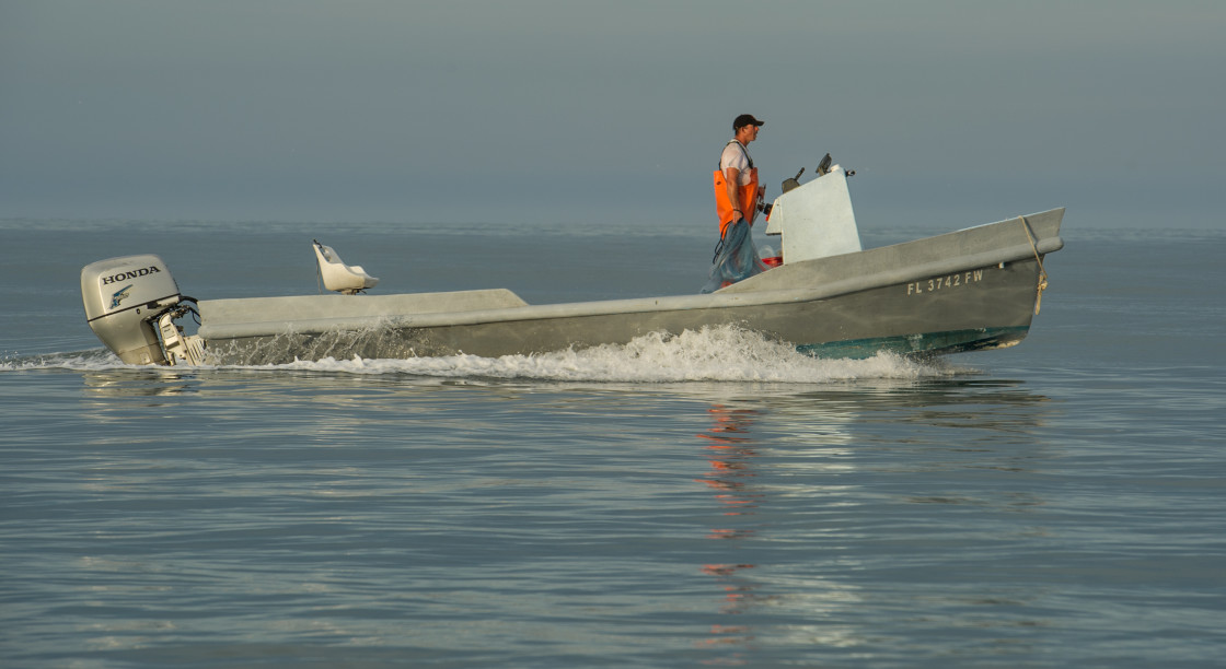 "Commercial fishing boat early morning on the ocean." stock image