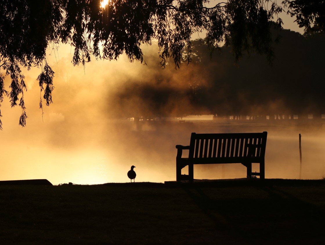 "Waiting for dawn" stock image