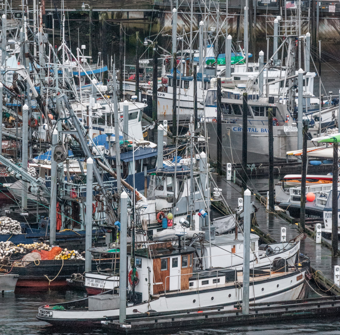 "Marina in Alaska" stock image