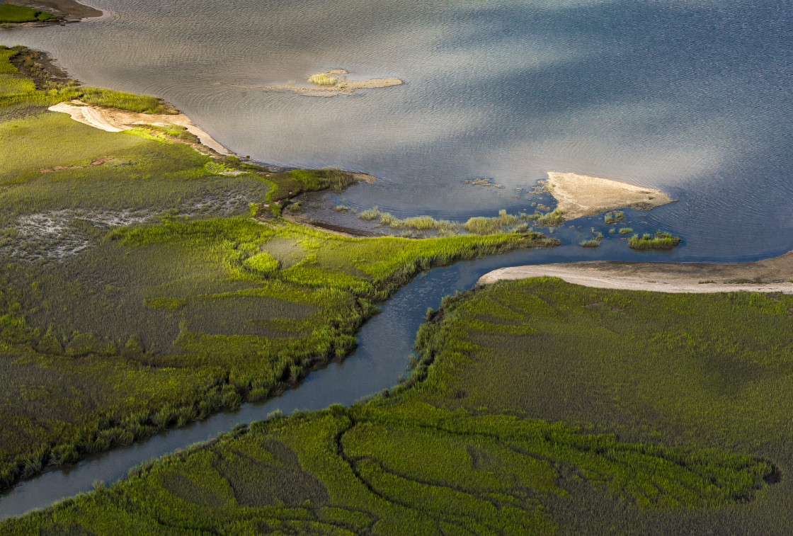 "Georgia marsh and creek" stock image