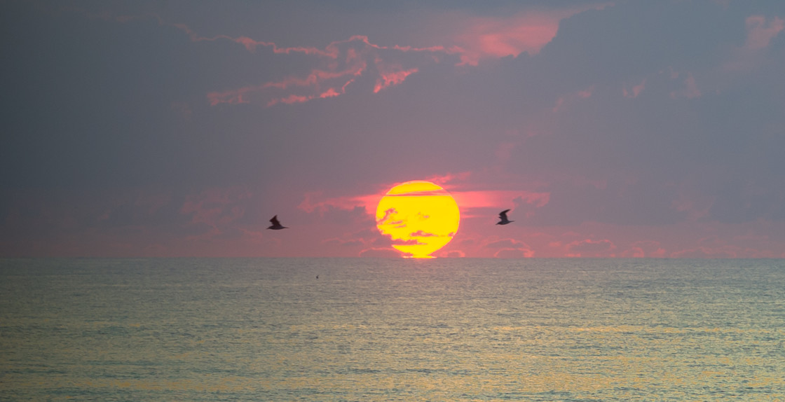 "Sunrise on the beach" stock image