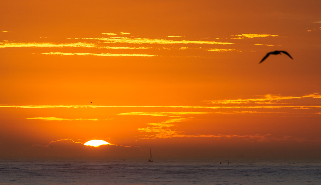 "Sailboat at dawn" stock image