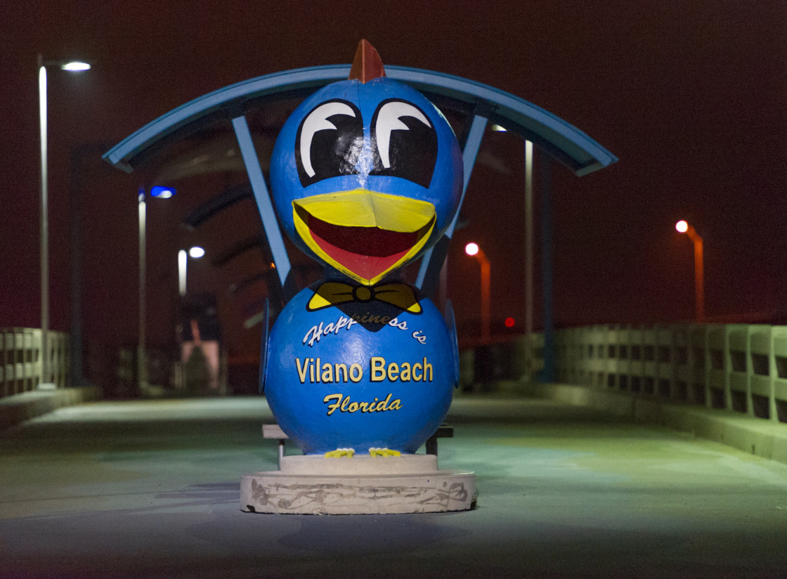 "Vilano Beach Blue Bird" stock image