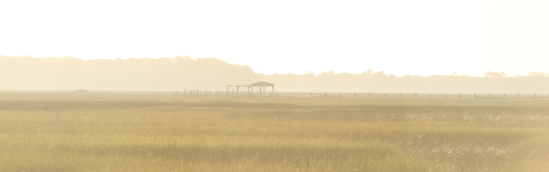 "Florida marsh with boat dock in the fog" stock image