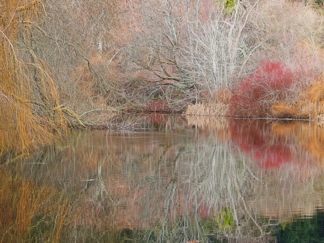 "Colours of Autumn" stock image