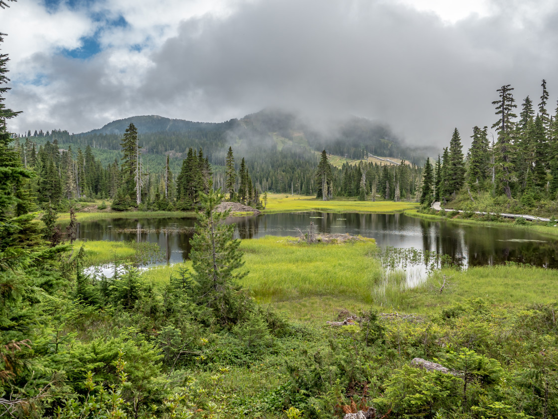 "Tranquility" stock image