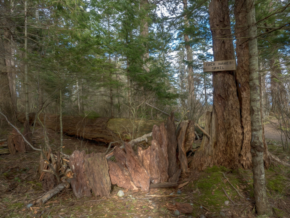 "Walking Trail" stock image