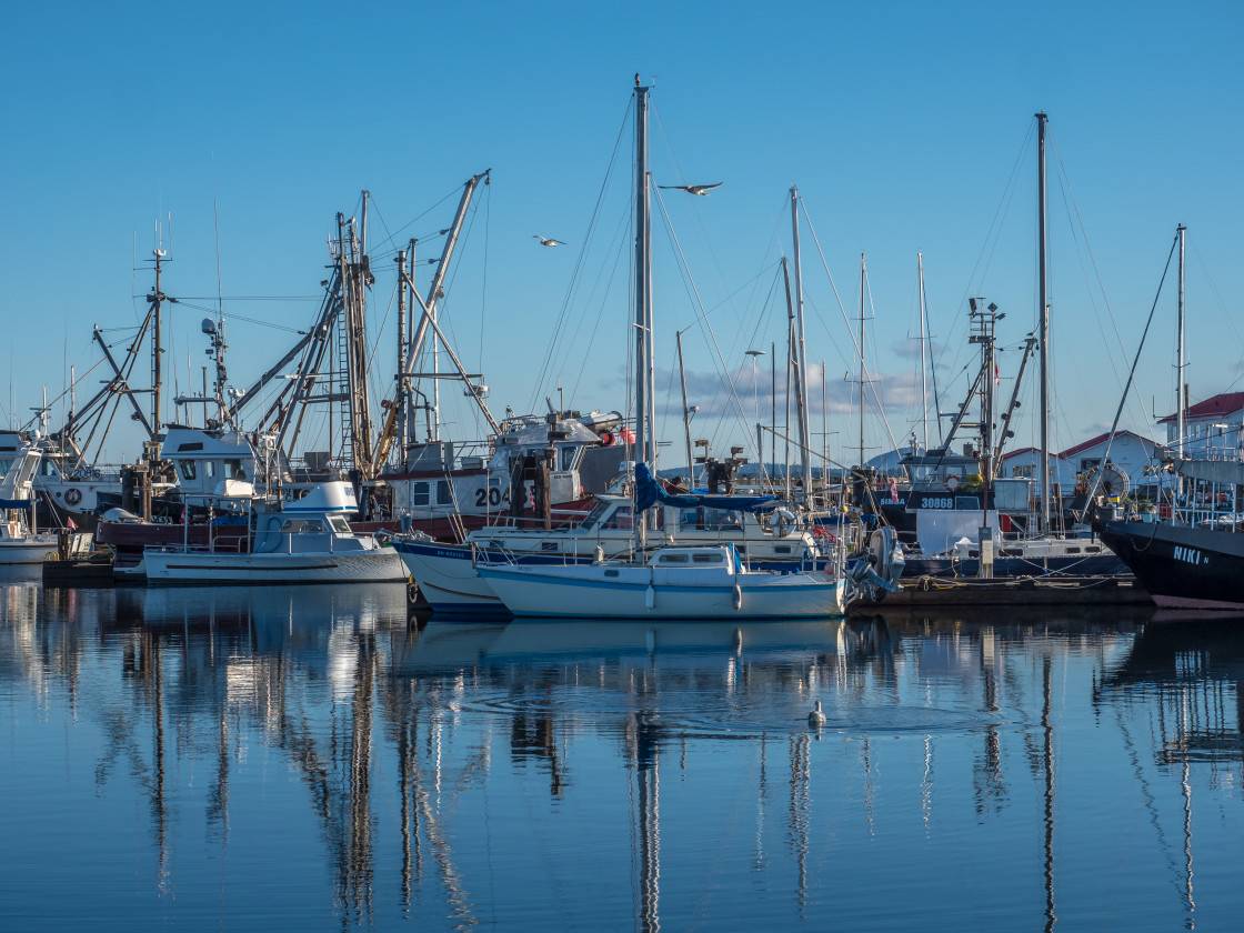 "Harbour" stock image