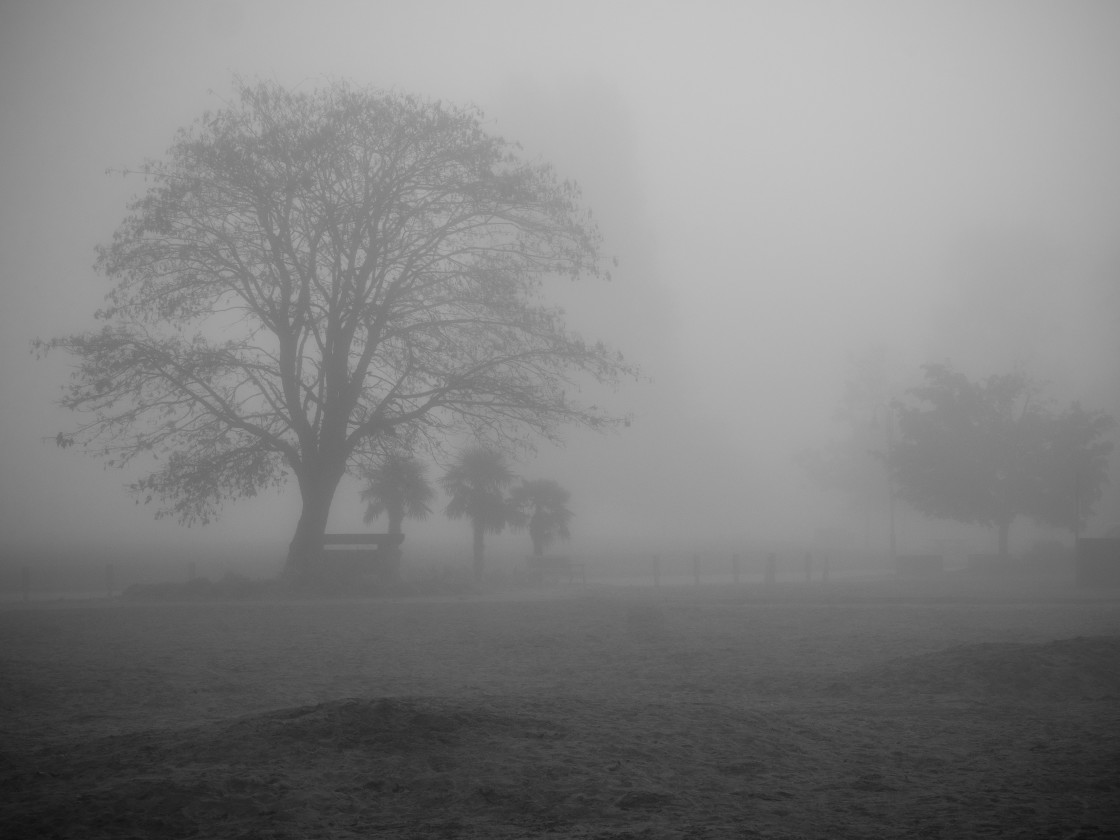 "Foggy Day" stock image