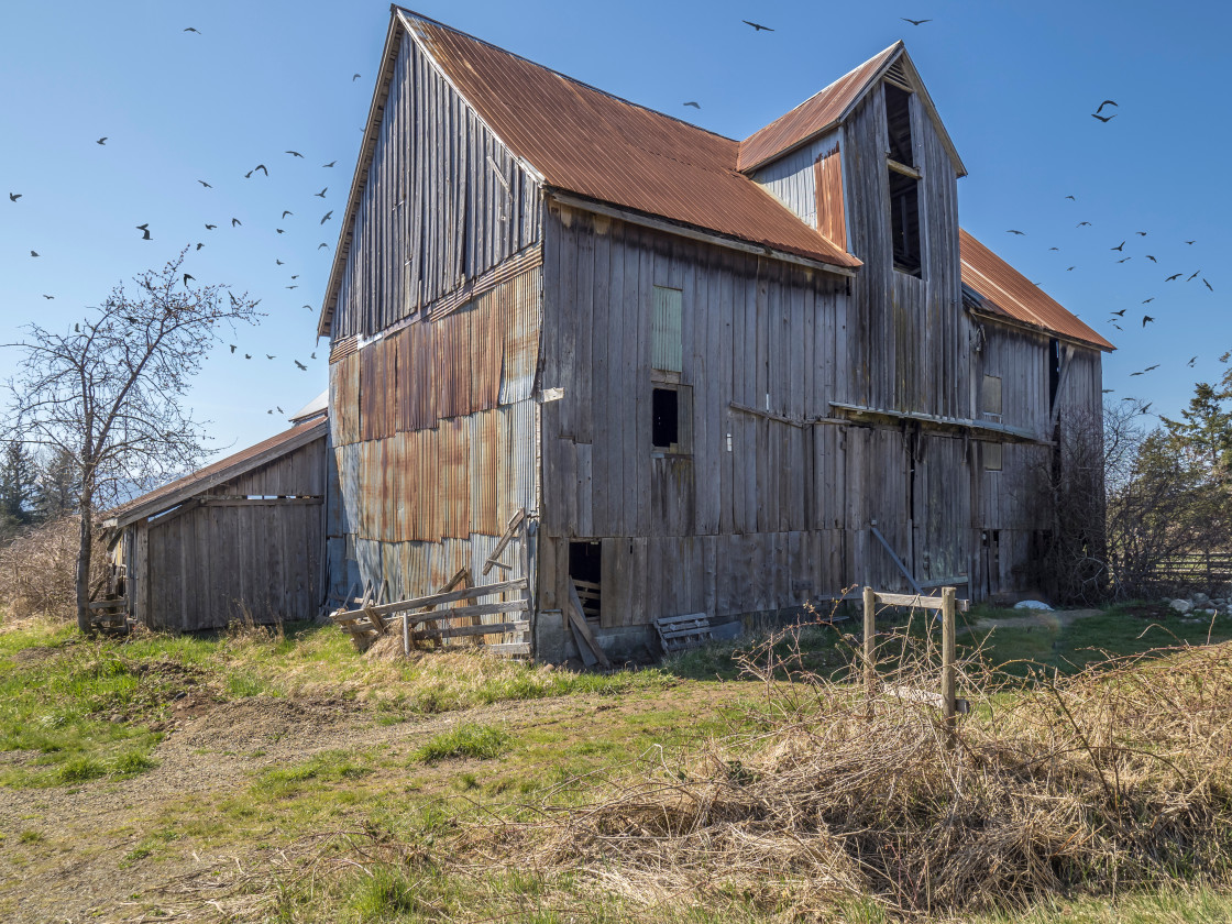 "Old Barn" stock image