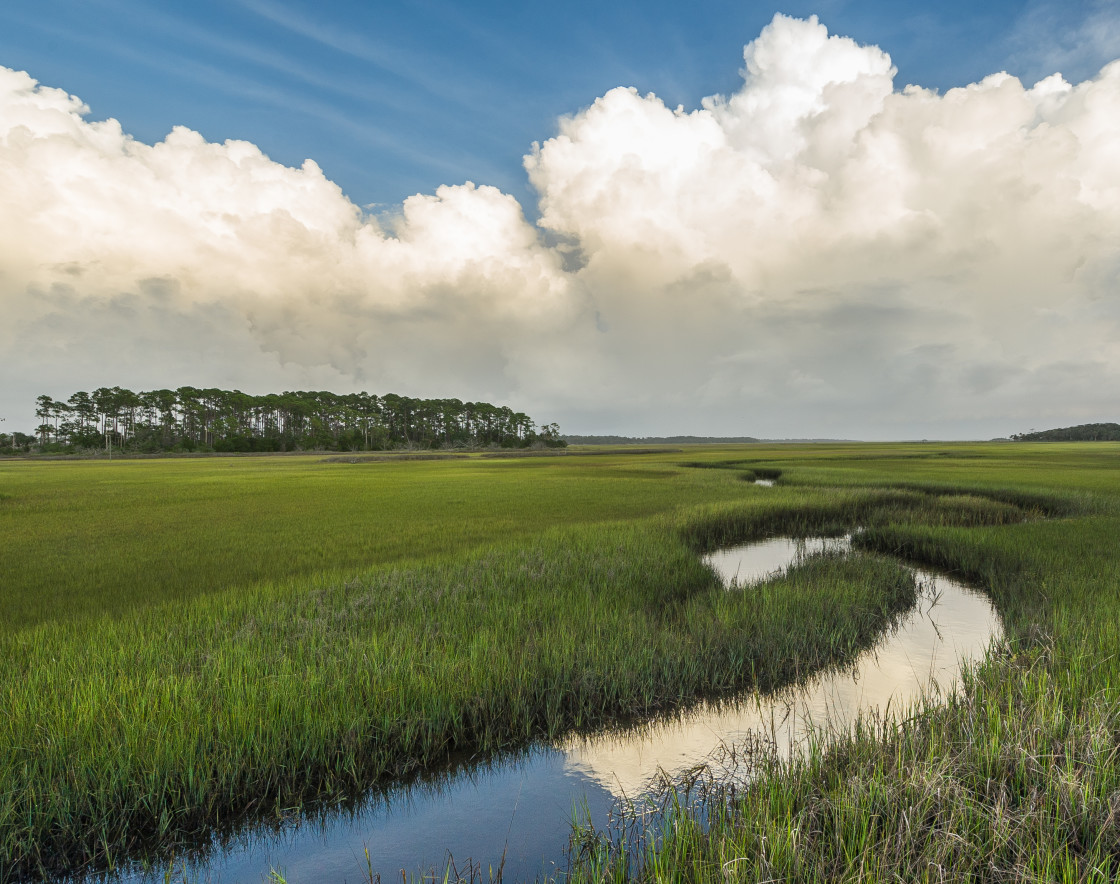 "Florida marsh with clouds" stock image