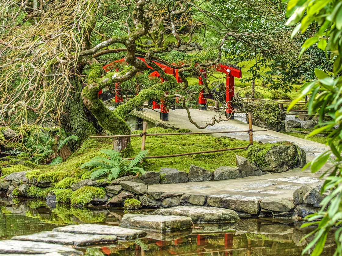 "Japanese Garden" stock image