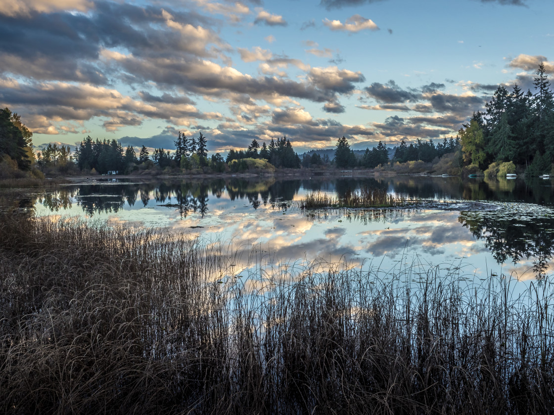 "Lake reflections" stock image