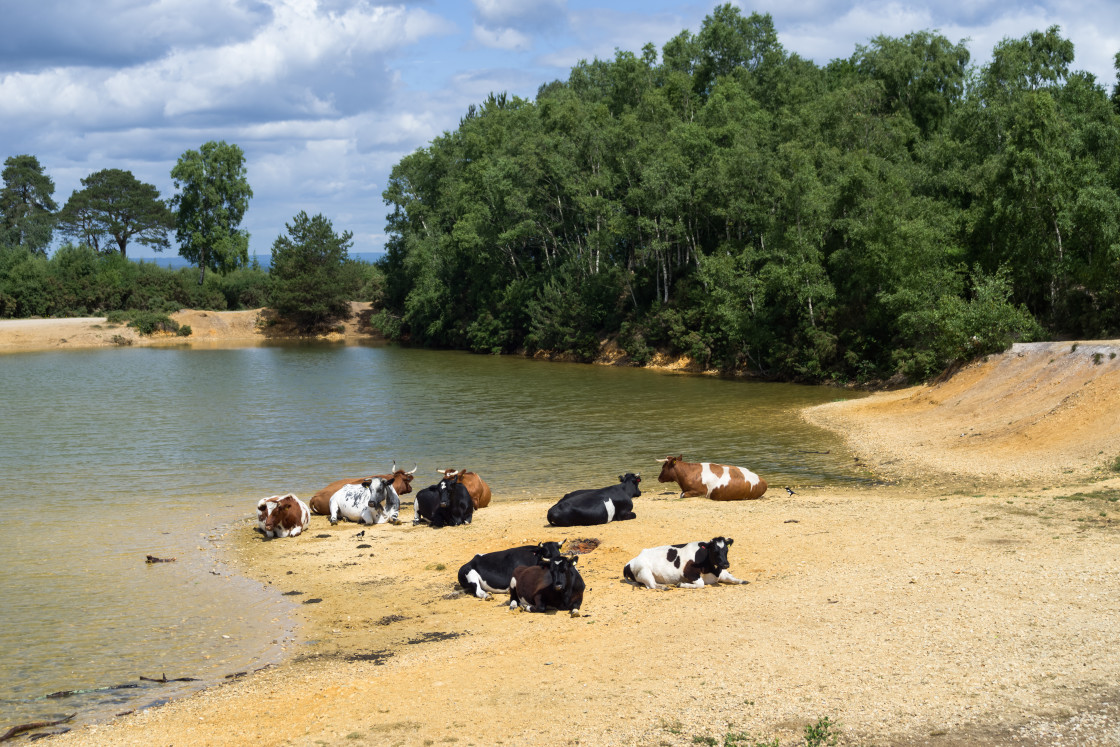 "Resort locals 'shocked and angry' at beach crowds" stock image