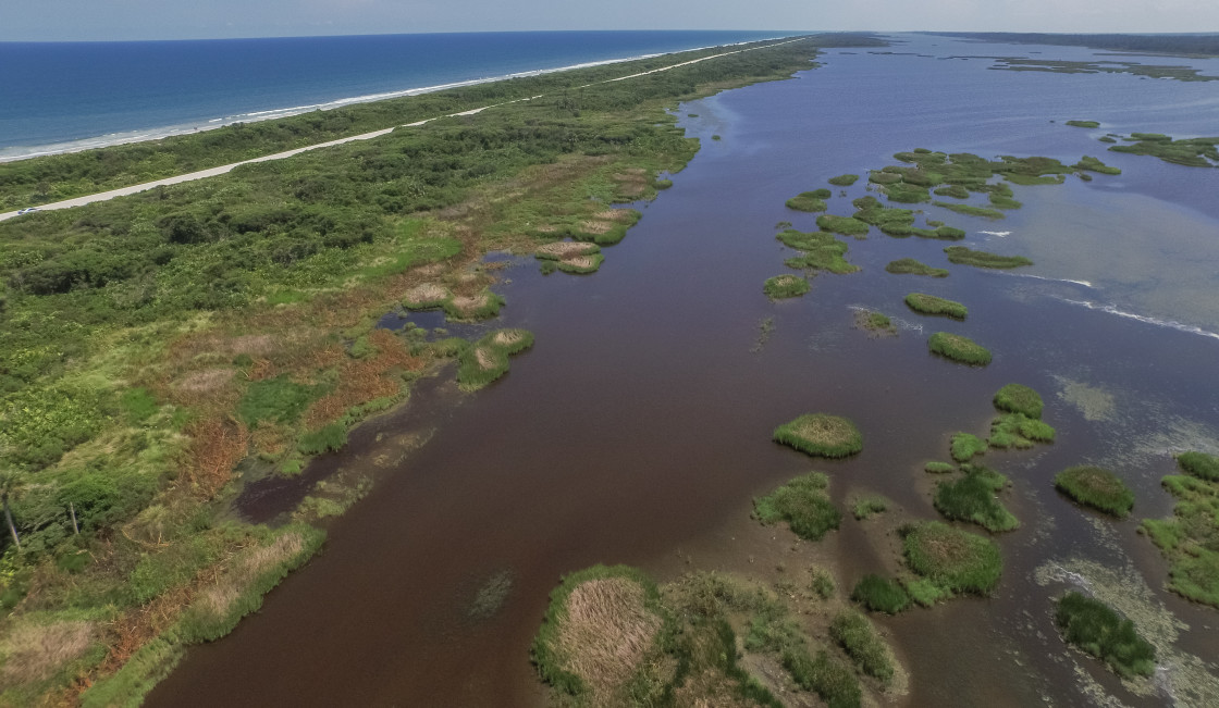 "Florida marsh aerial" stock image