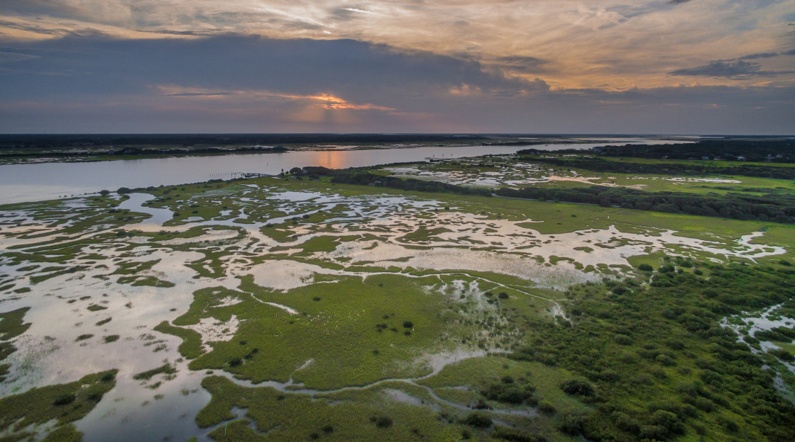 "Florida marsh aerial" stock image