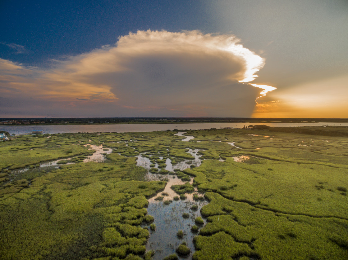 "Florida marsh aerial" stock image